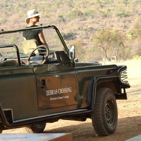Zebras Crossing Private Game Lodge Modimolle Luaran gambar