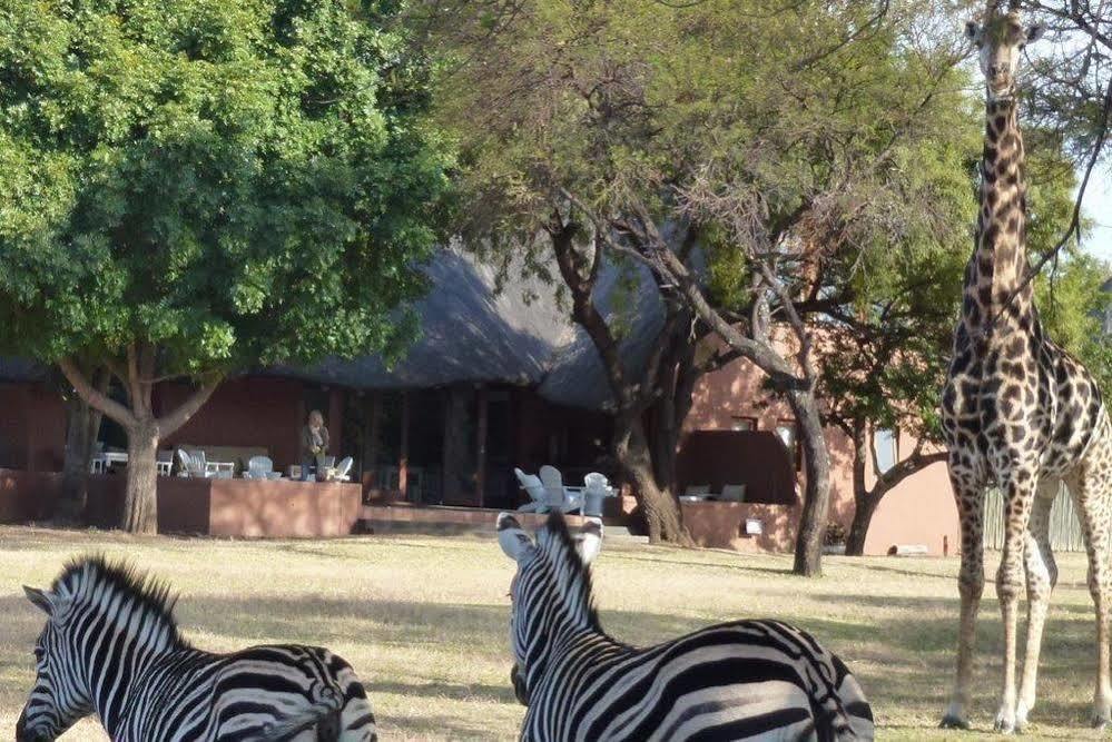 Zebras Crossing Private Game Lodge Modimolle Luaran gambar