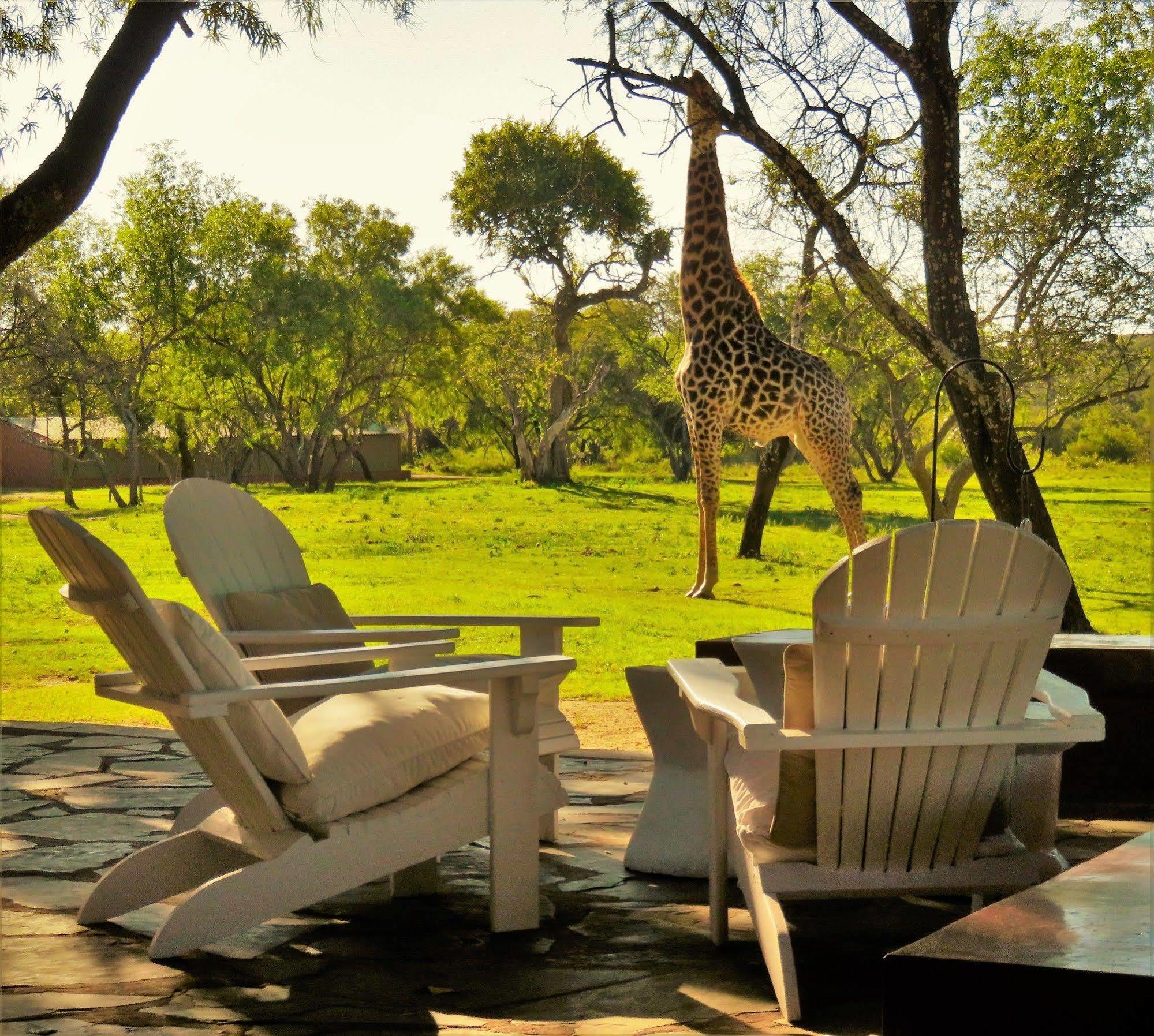 Zebras Crossing Private Game Lodge Modimolle Luaran gambar